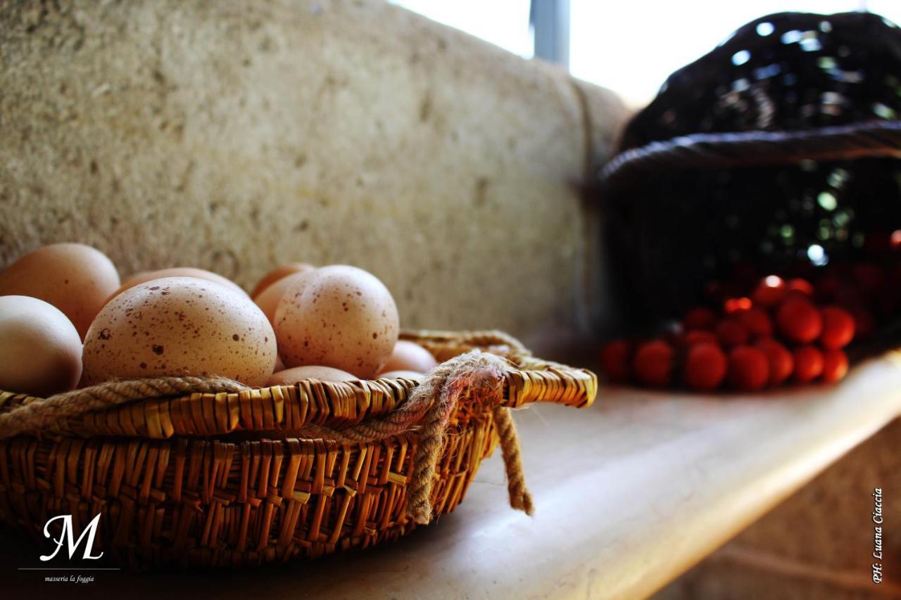 Masseria La Foggia ファザーノ エクステリア 写真